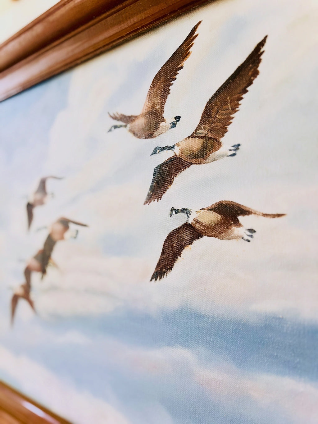 Canadian geese at flight art