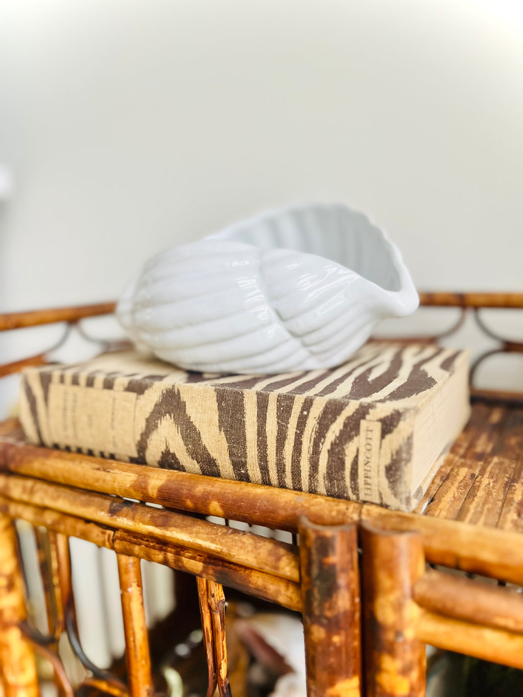 White conch shell planter