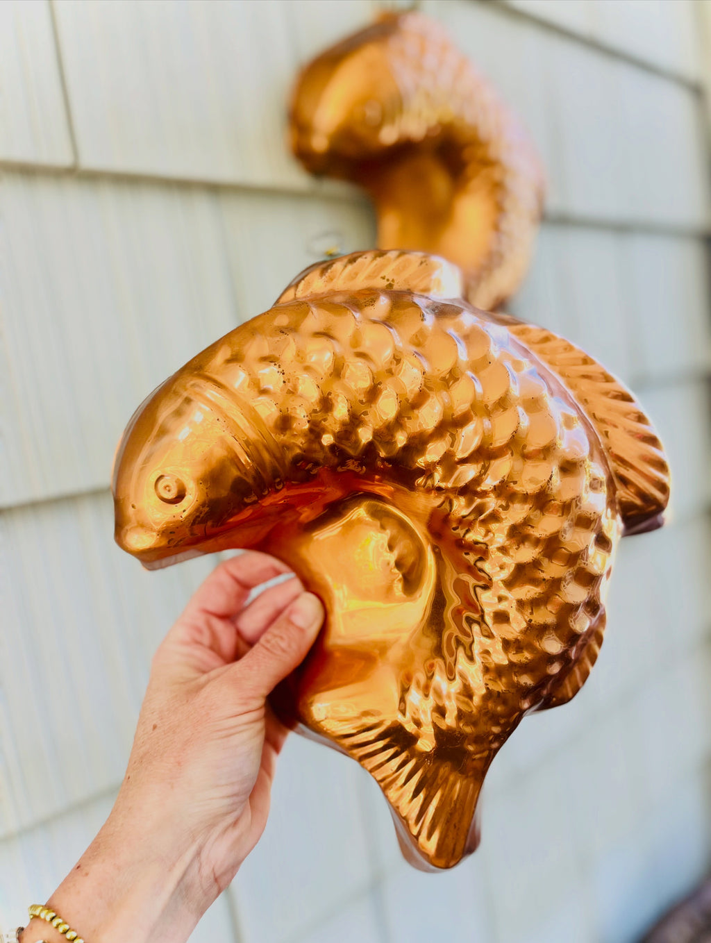 Copper fish molds