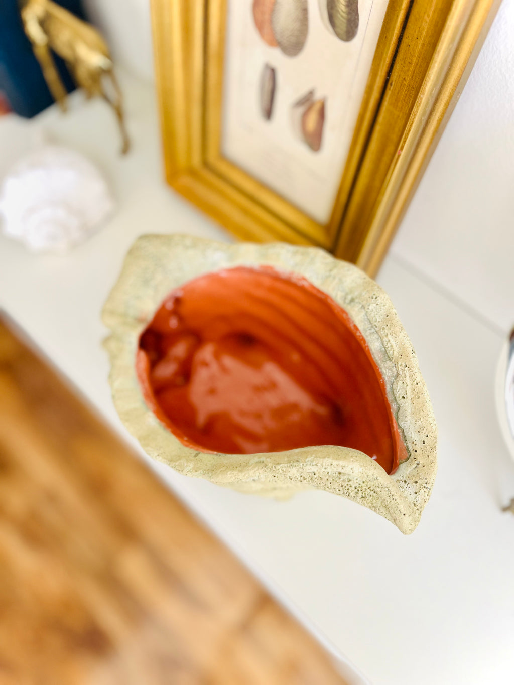 Fossilized conch shell planter