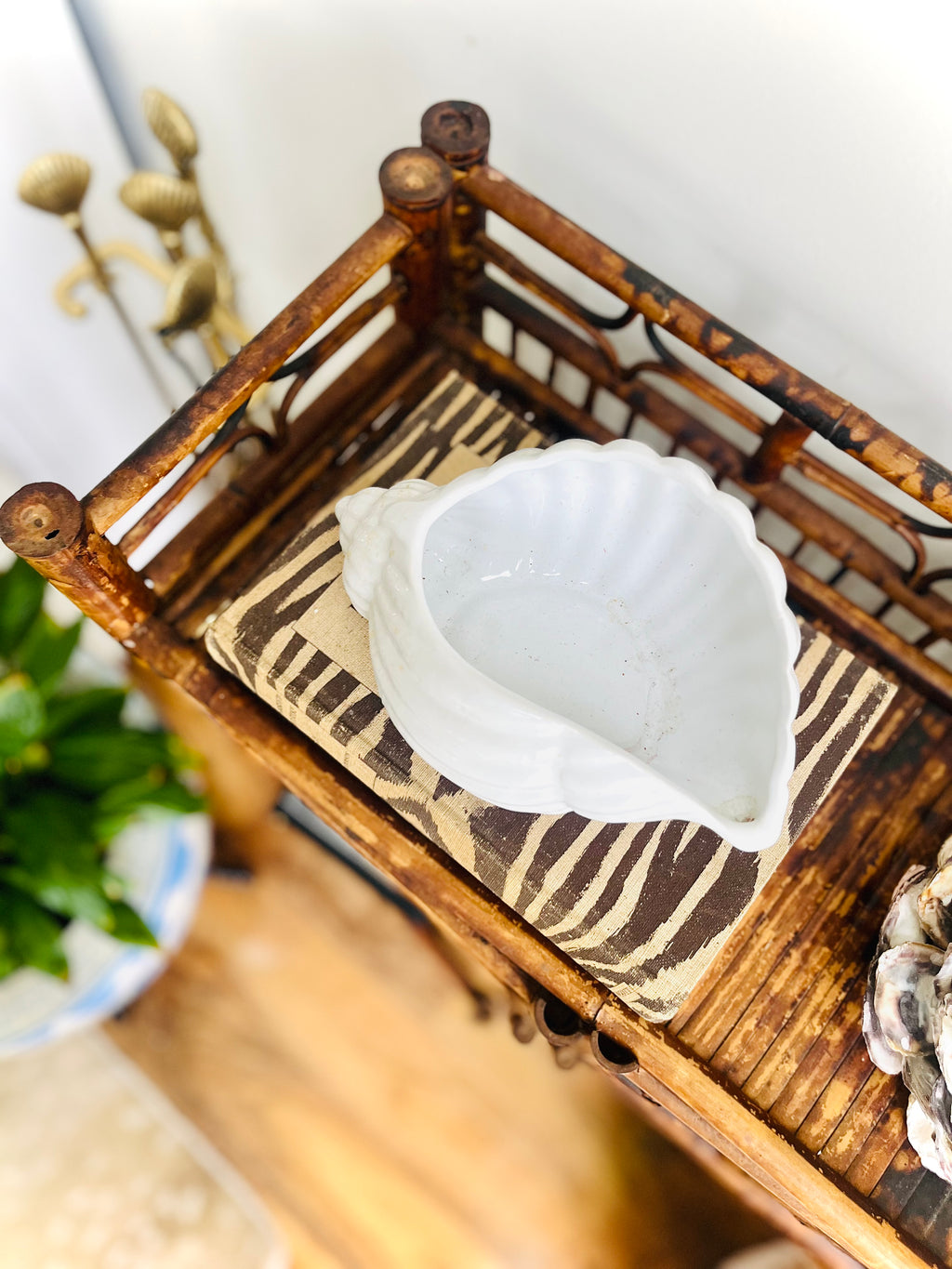 White conch shell planter