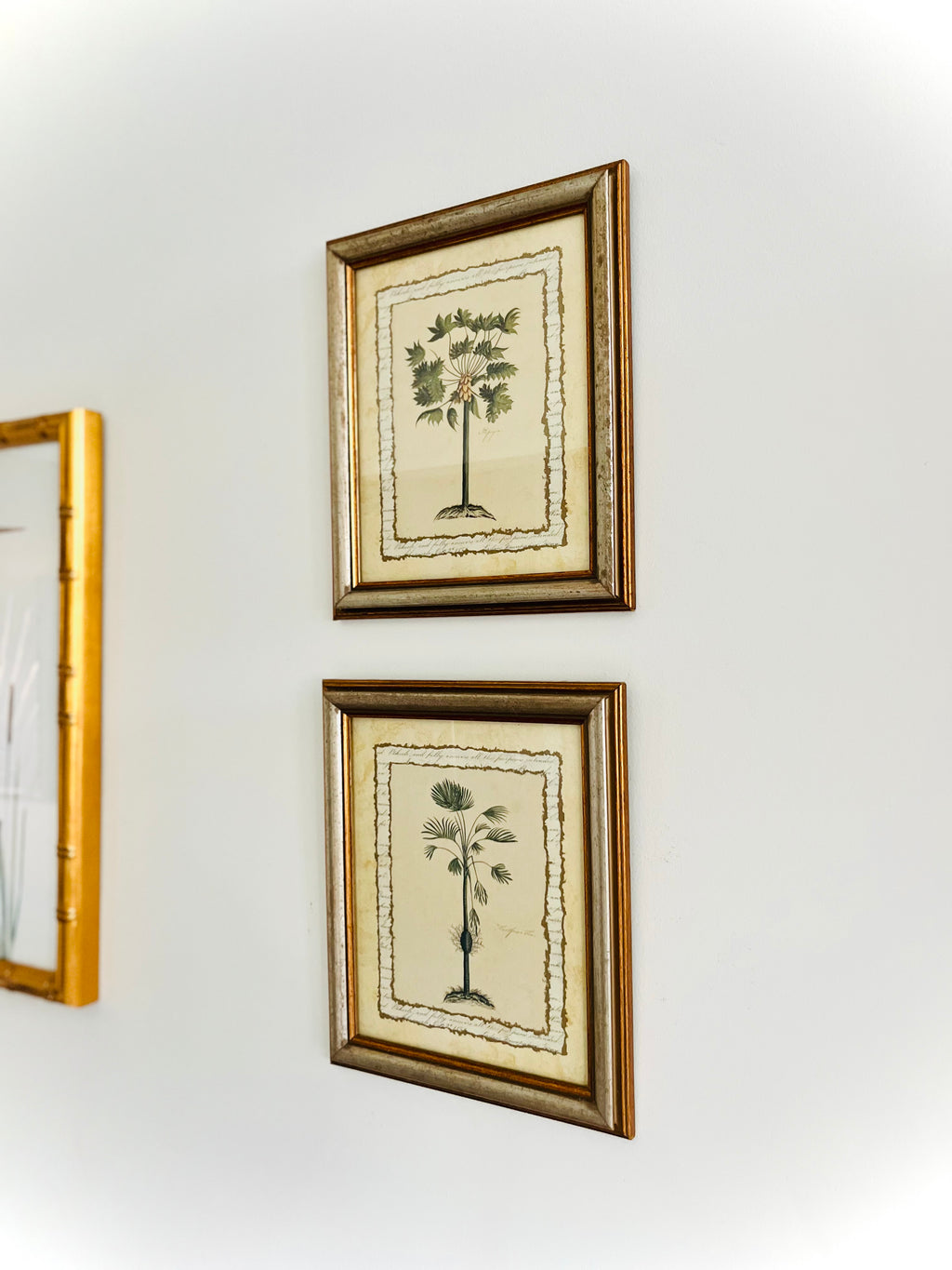 Pair of botanical palm prints