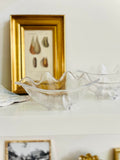 Acrylic clam shell bowls