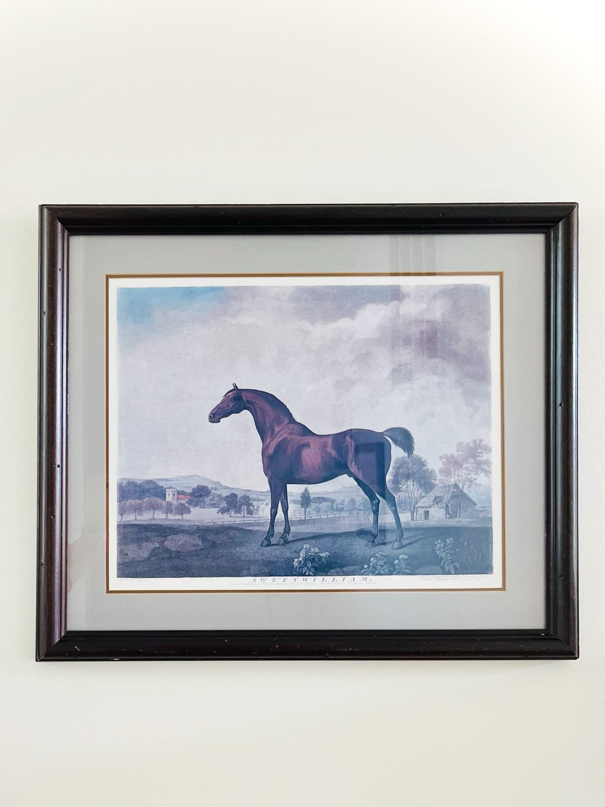 Sweet William framed racehorse