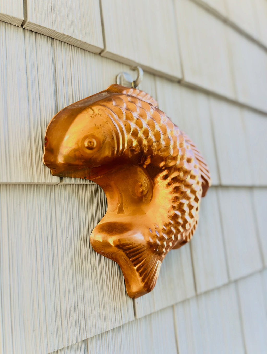 Copper fish molds