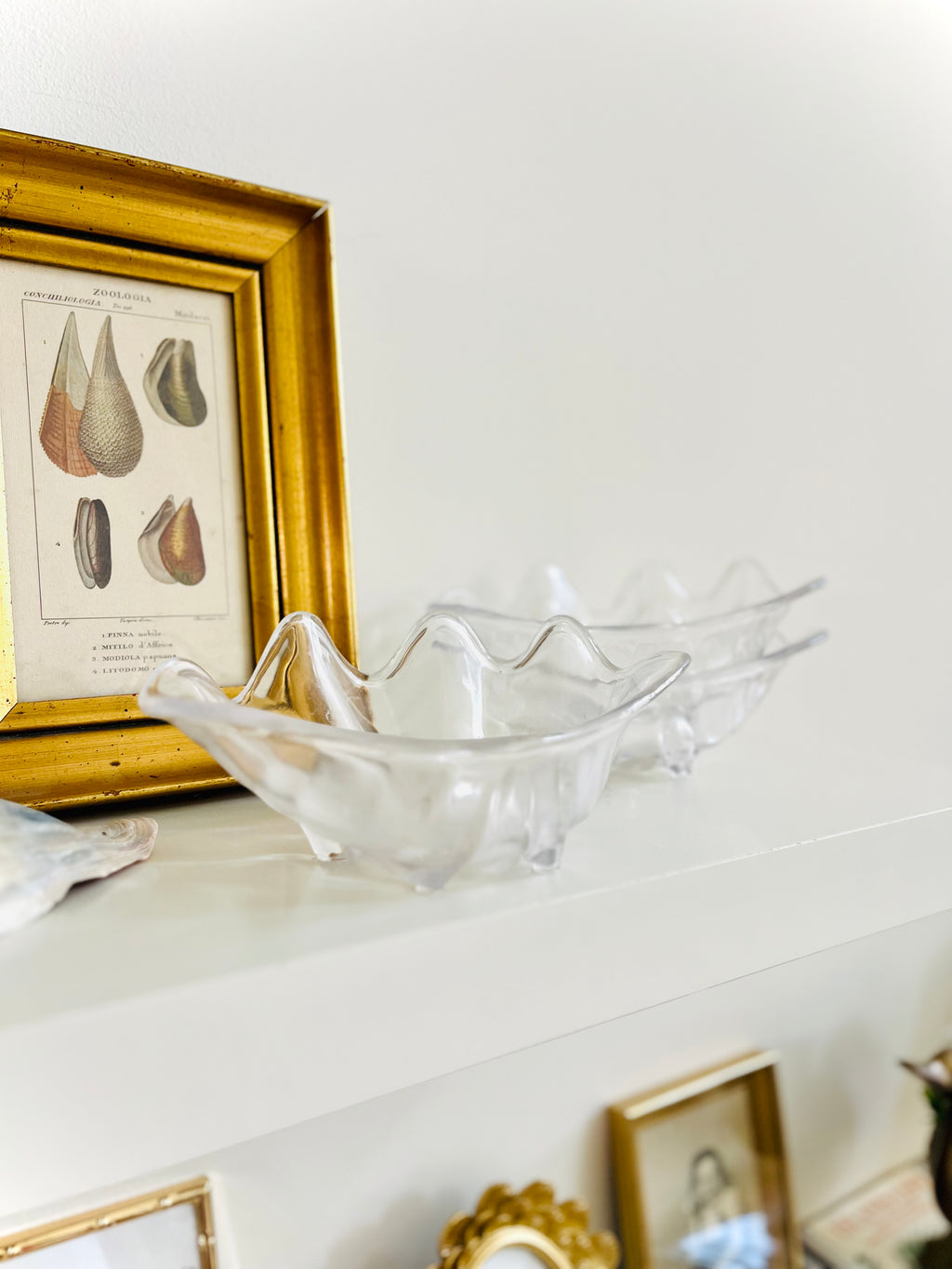 Acrylic clam shell bowls