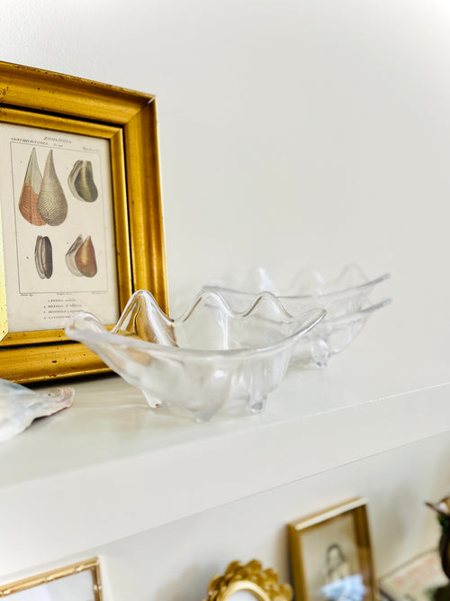 Acrylic clam shell bowls