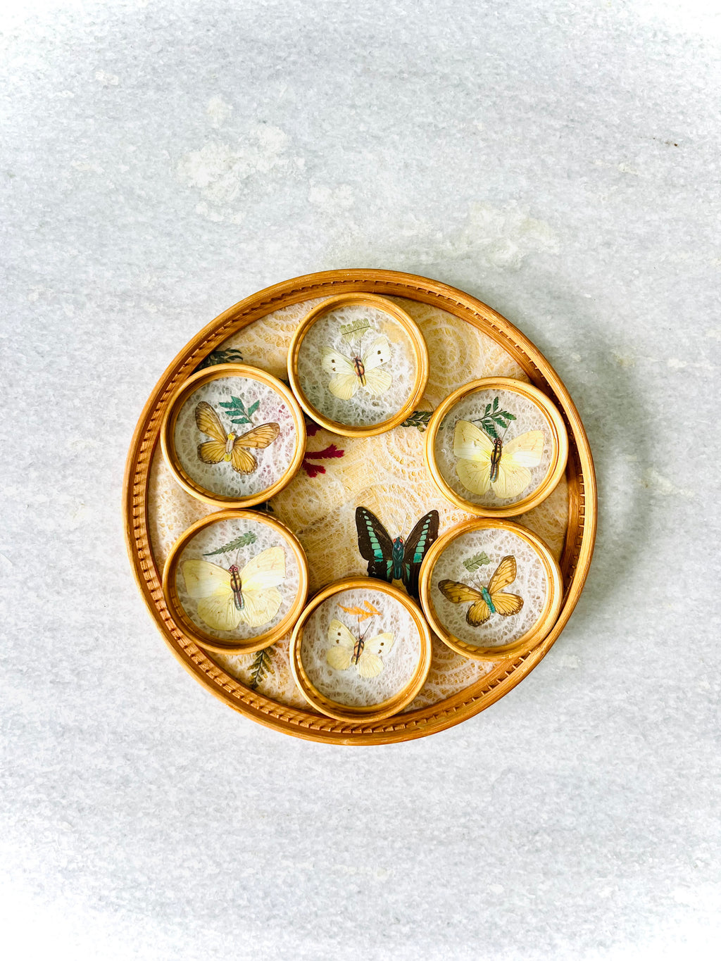 Pressed butterfly tray & coaster set