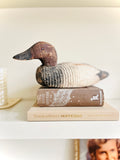 Antique canvasback decoy