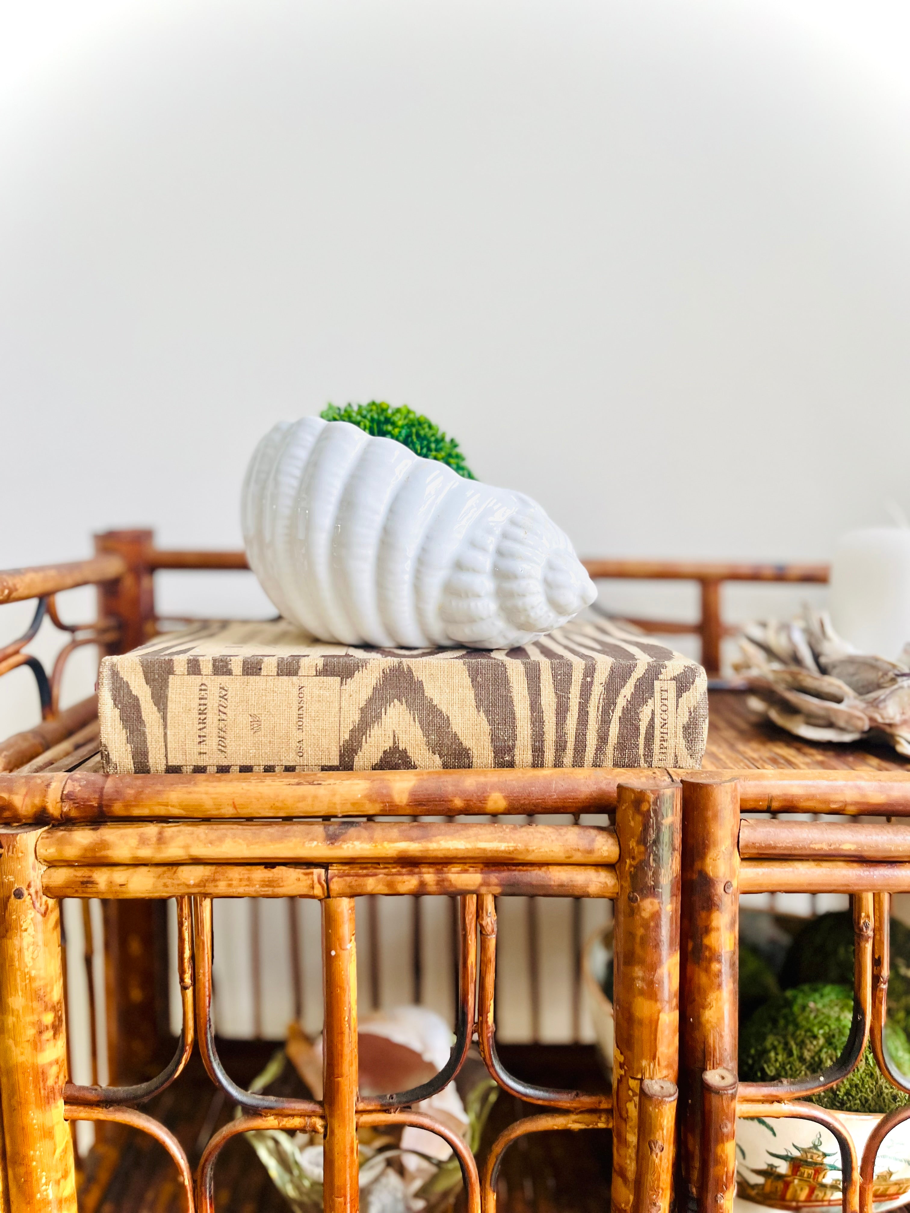 White conch shell planter