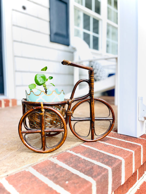 Bamboo bike planter