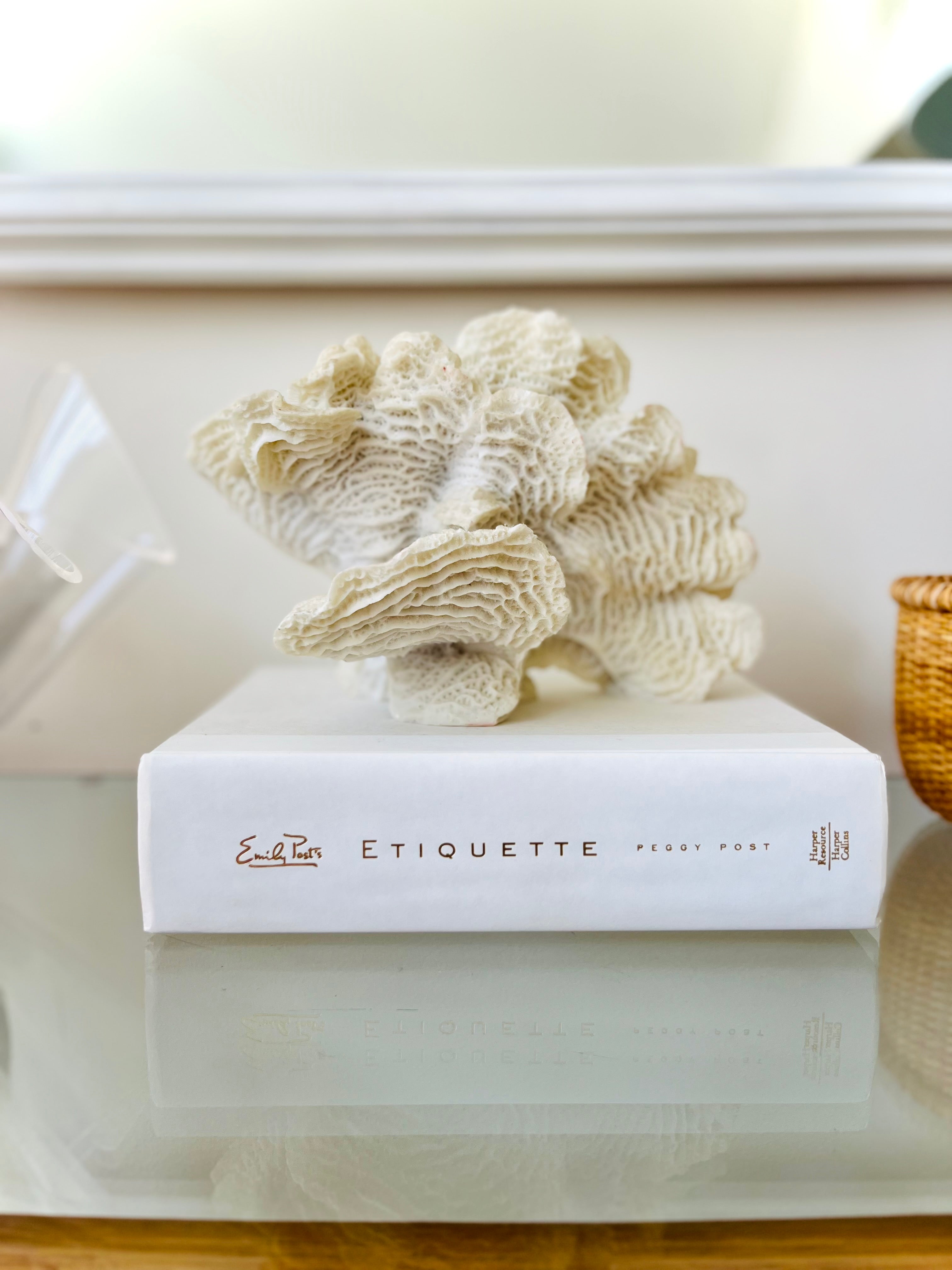 Large fossilized faux coral