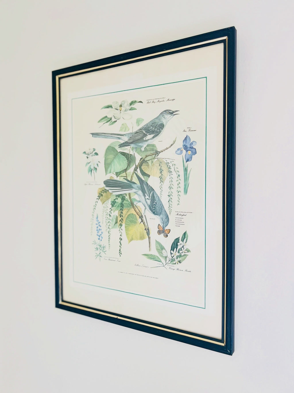 Arthur Singers framed mockingbirds & state flowers