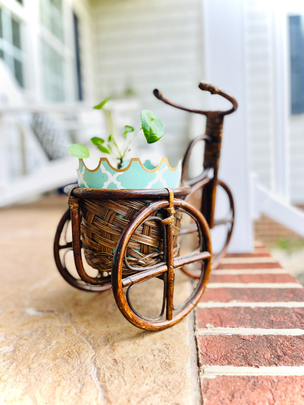 Bamboo bike planter