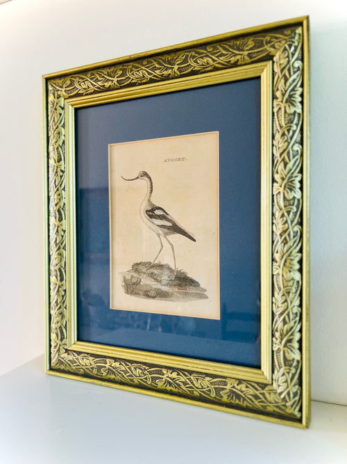 Antique framed shore bird