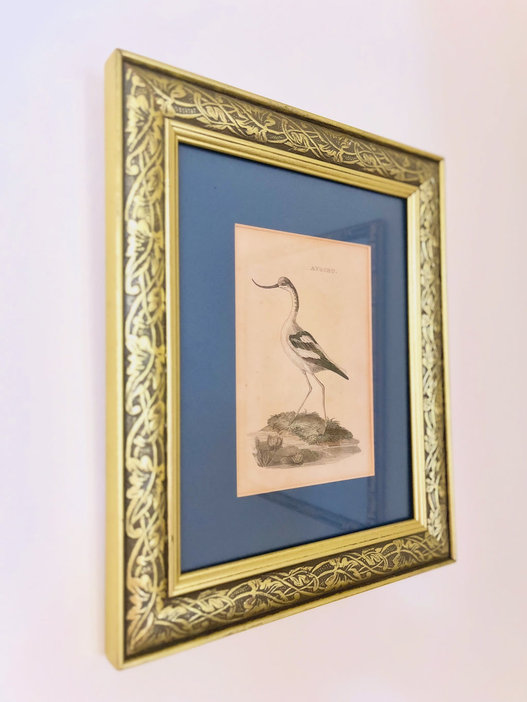 Antique framed shore bird