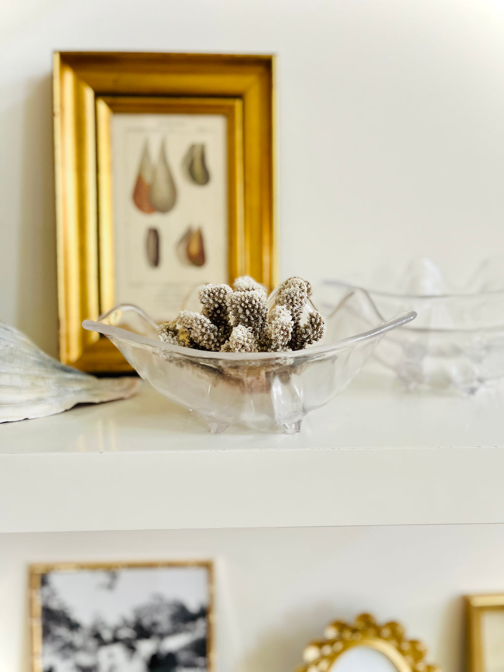 Acrylic clam shell bowls