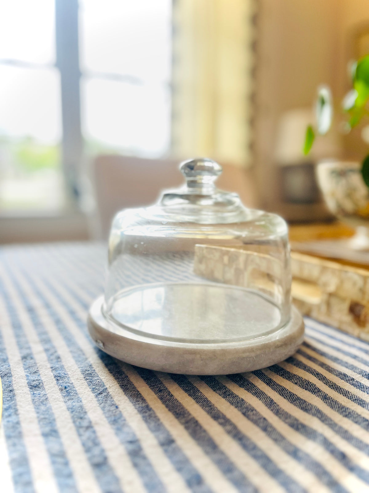 Marble & glass cheese dome