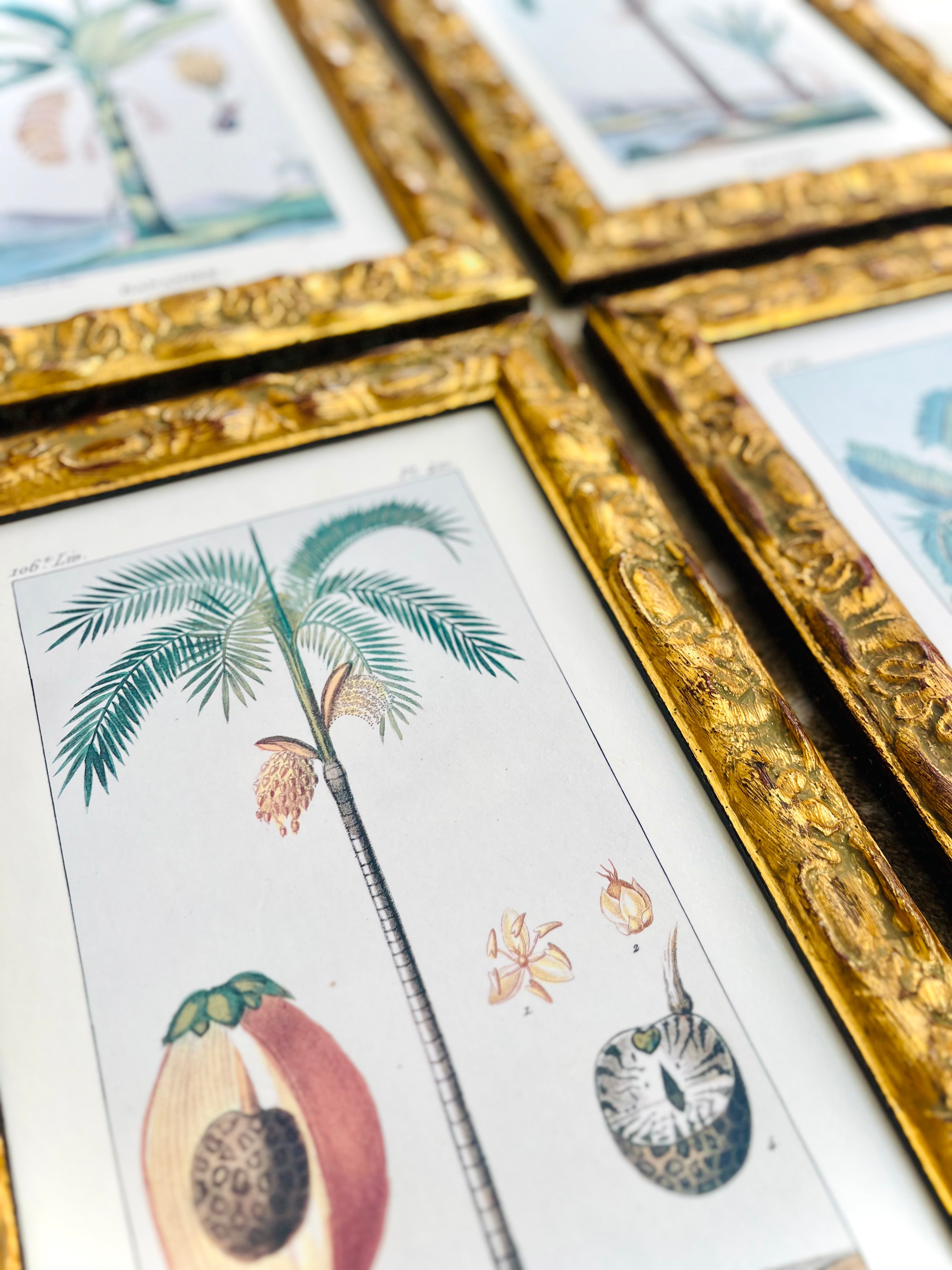 West Indie palm prints (4)