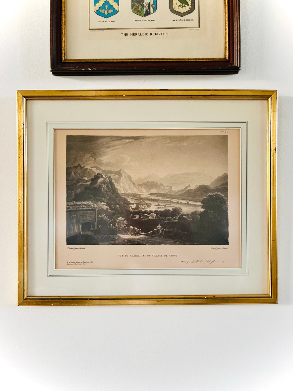 View of the Castle & Village of Vaduz