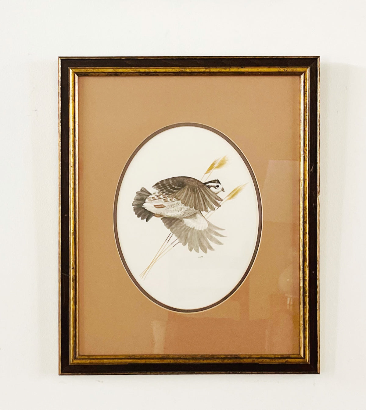Art Lamay watercolor game birds