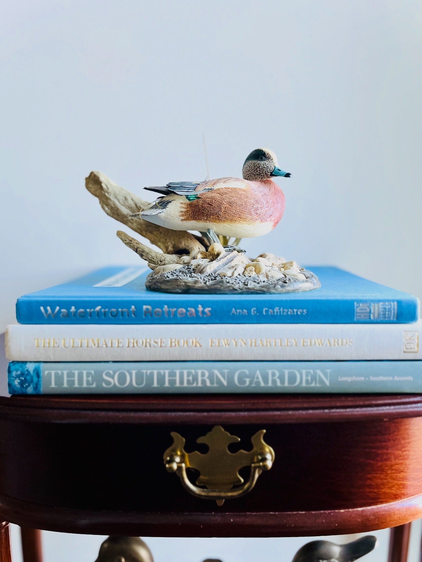 Widgeon duck by Larry Tawes Jr