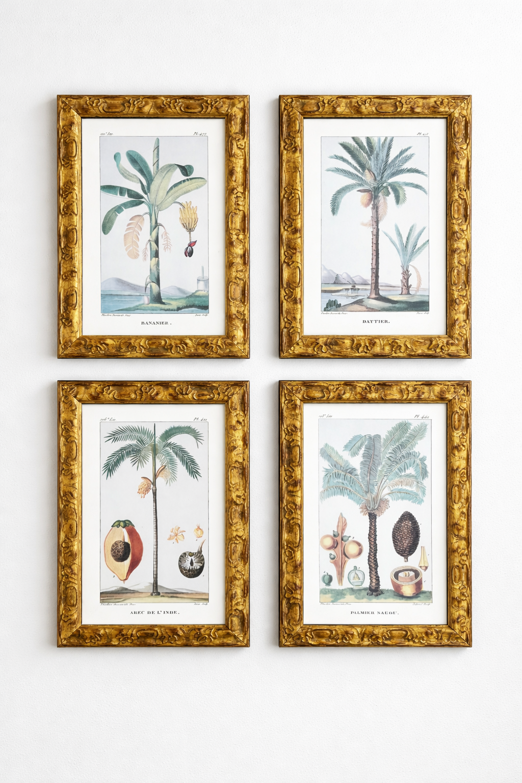 West Indie palm prints (4)