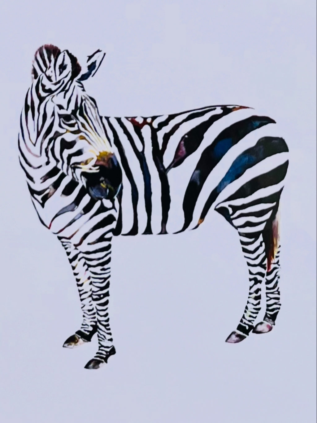Zebra watercolor print framed