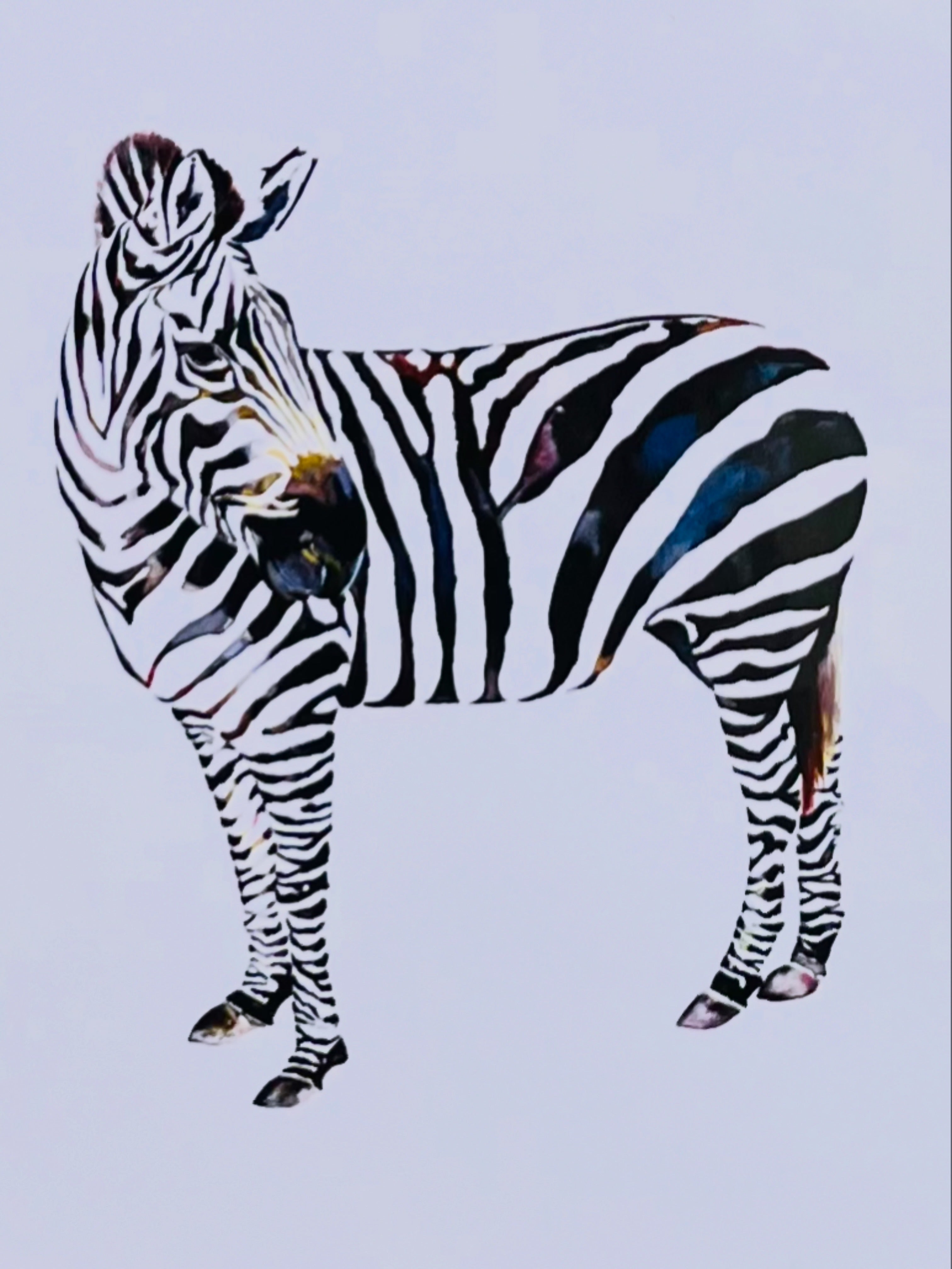 Zebra watercolor print framed