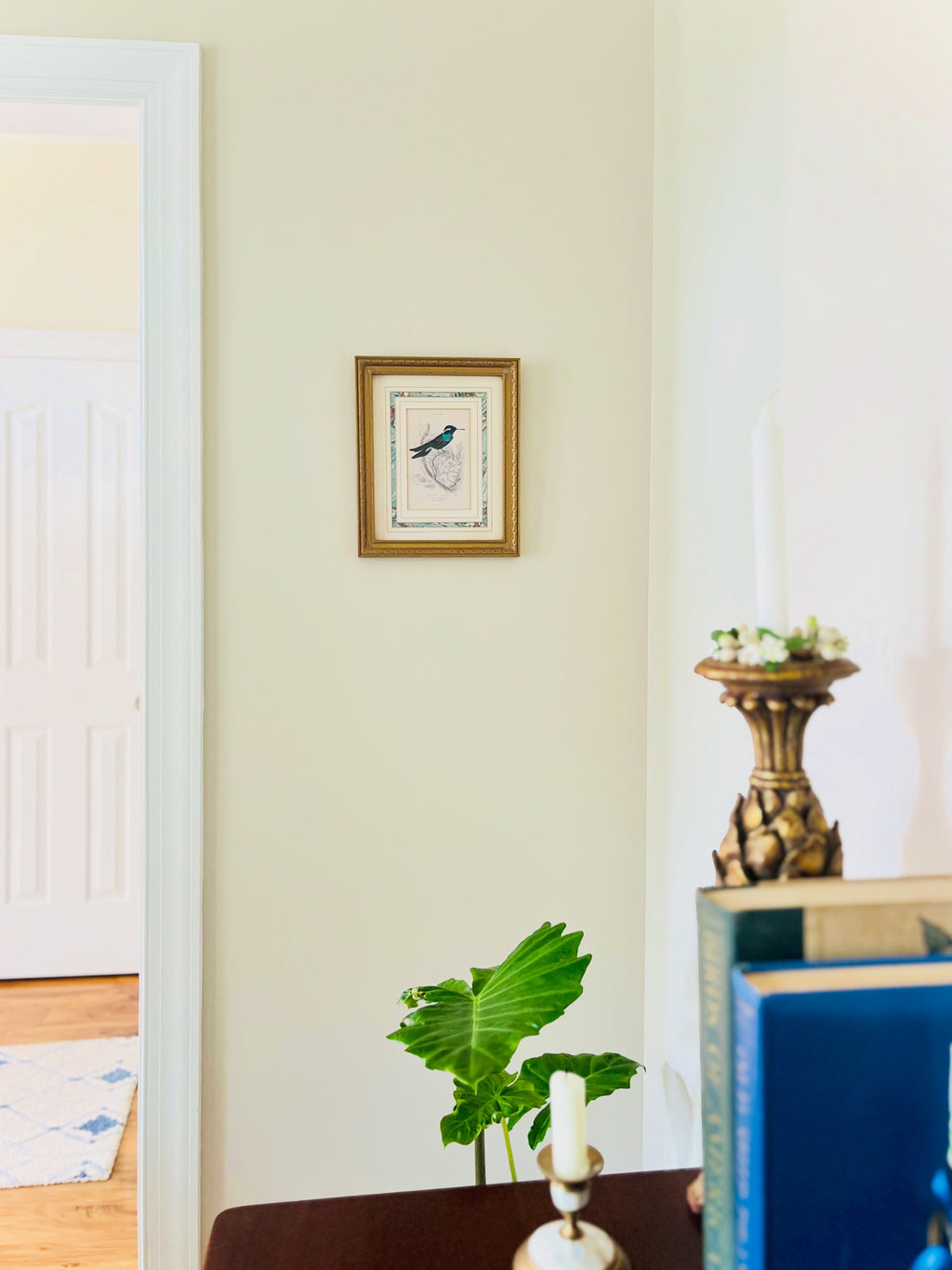 Framed hummingbird print by William Lizar