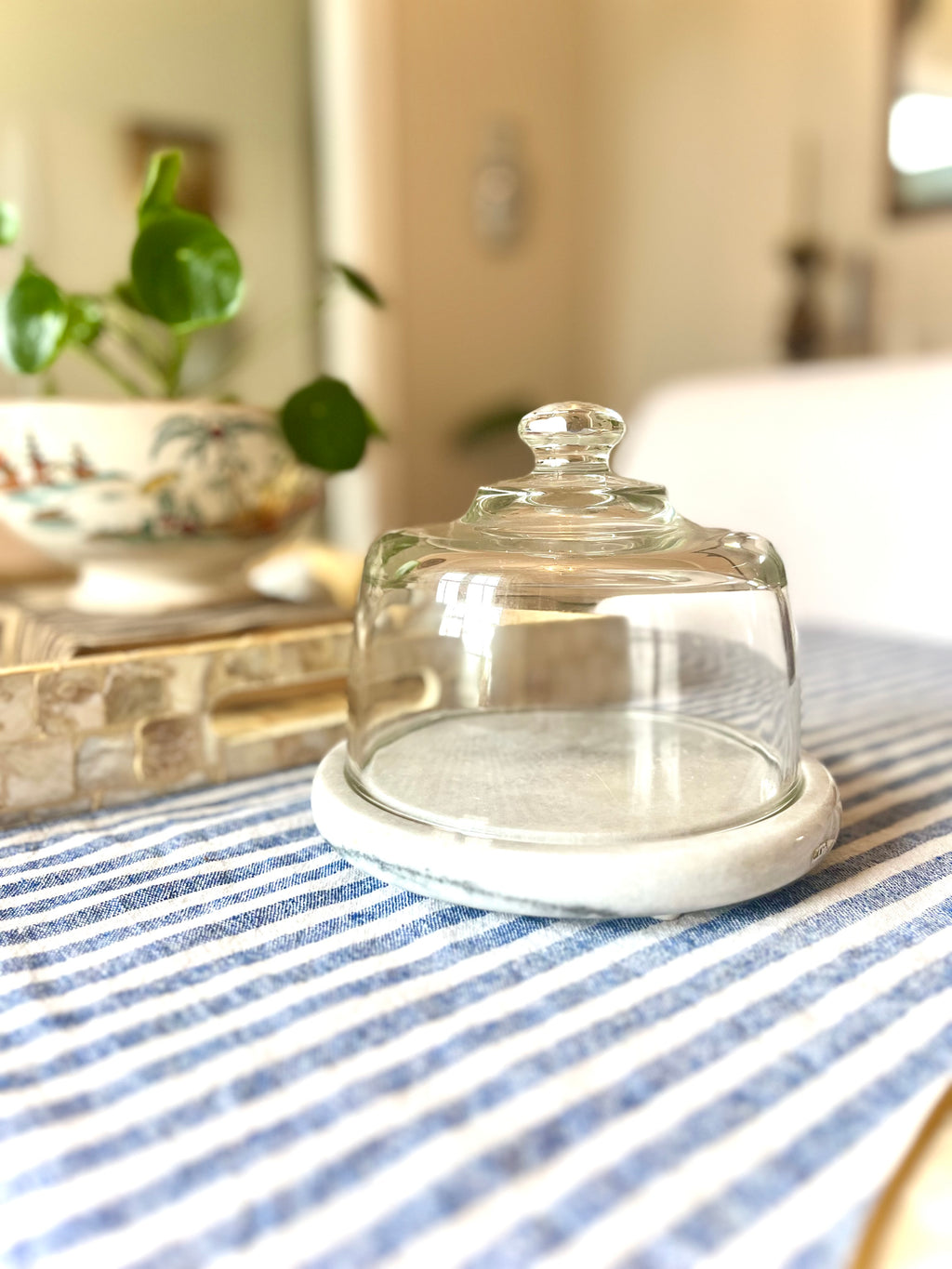 Marble & glass cheese dome