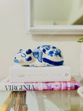 Blue & white sleeping cat
