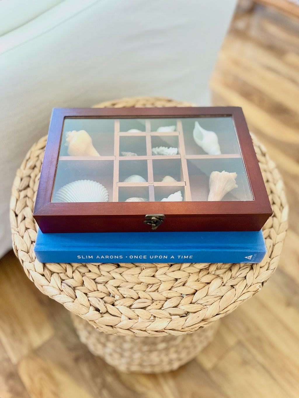 Mahogany & glass shell shadow box