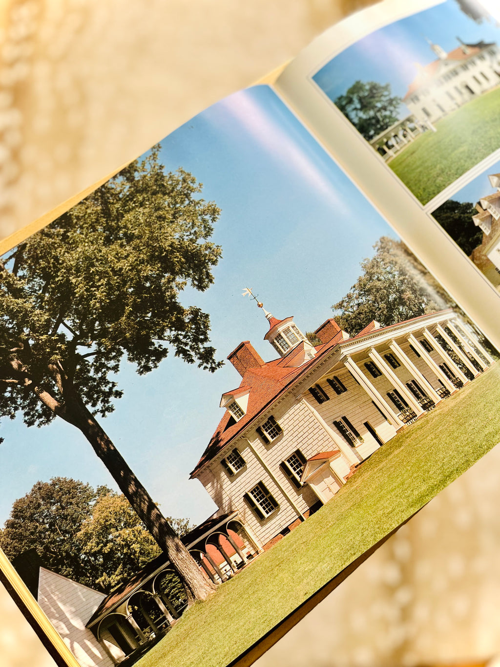 Virginia Land on Many Dreams