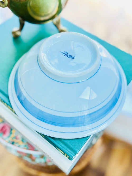 Blue & white Japanese bowl