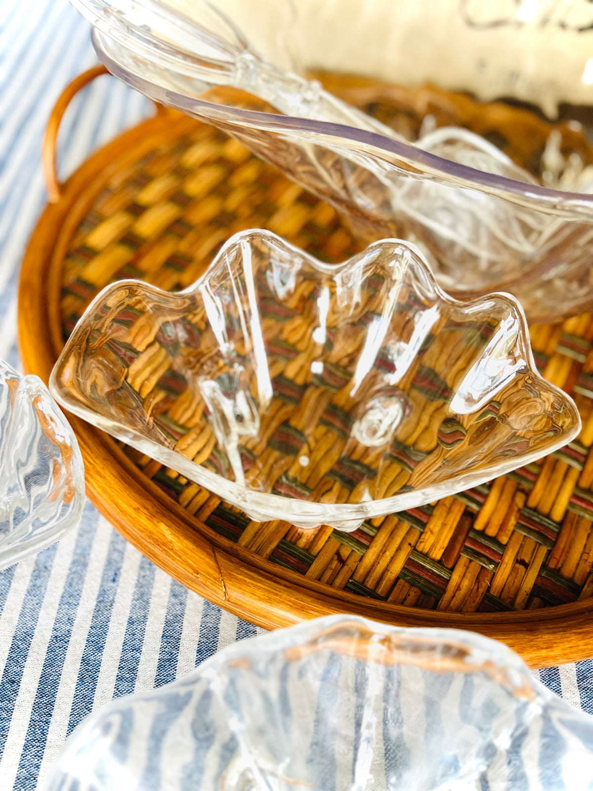 The Shell Bowl 7 piece set