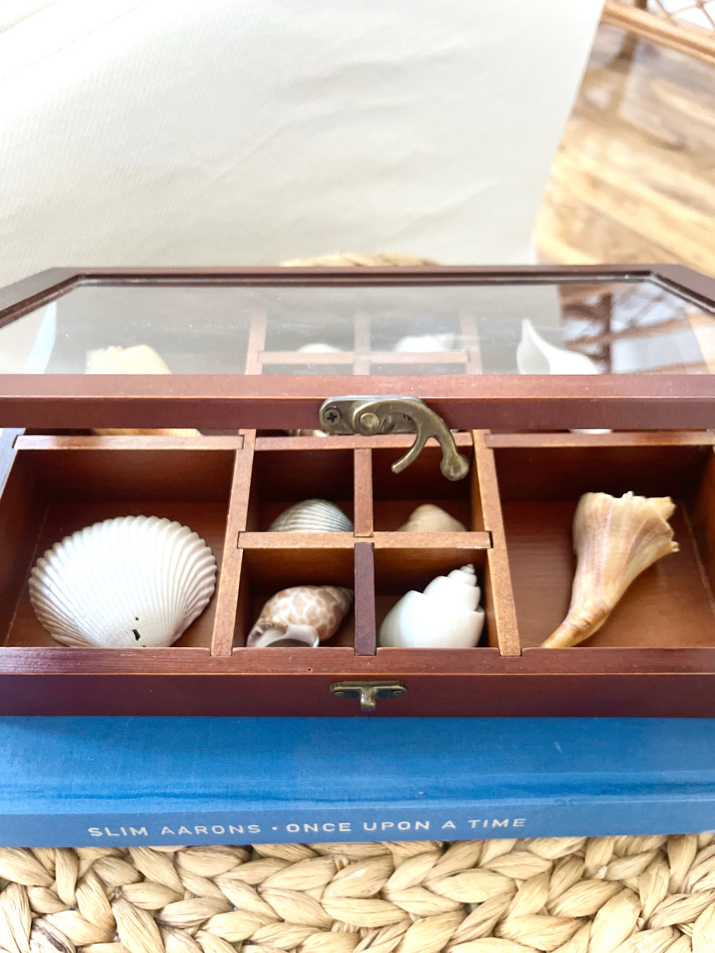 Mahogany & glass shell shadow box