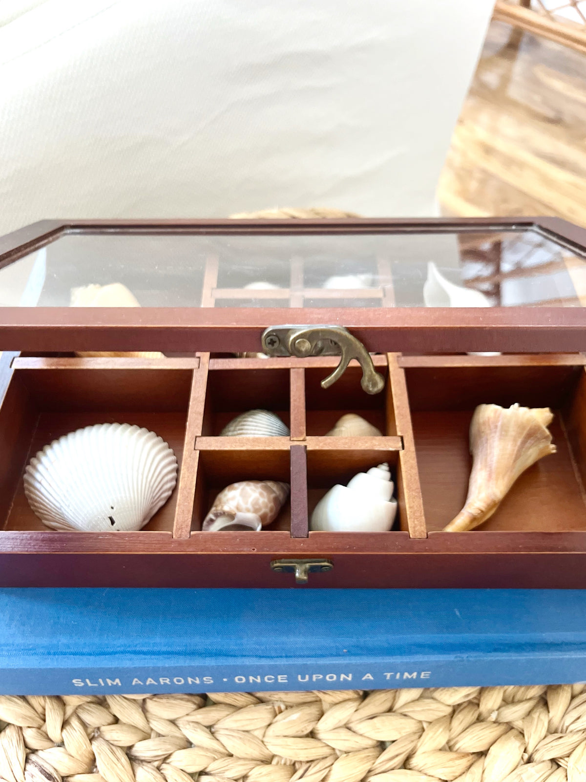 Mahogany & glass shell shadow box