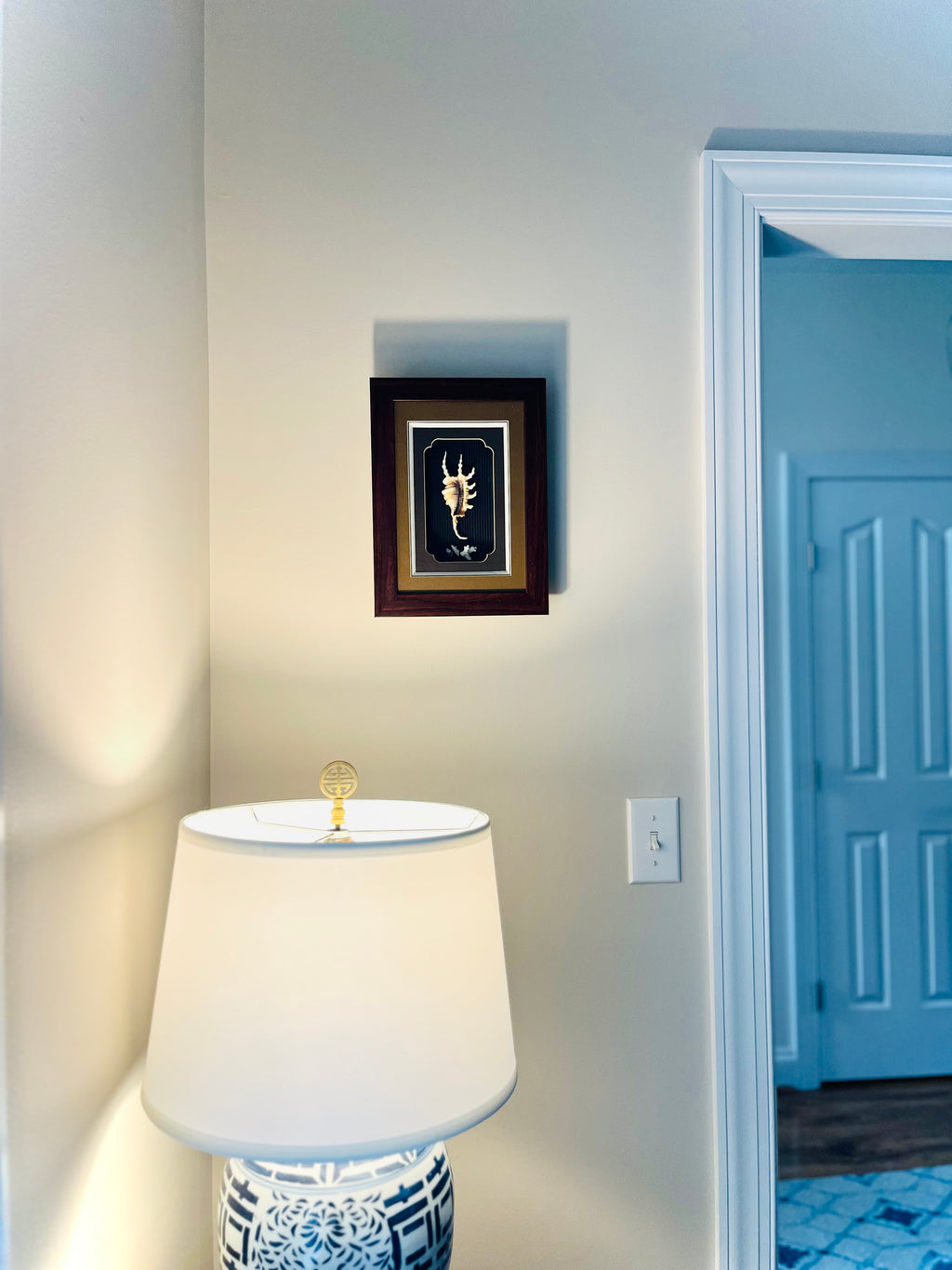 Spider conch & coral shadow box