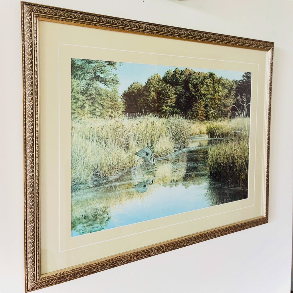 Great Blue Heron framed print