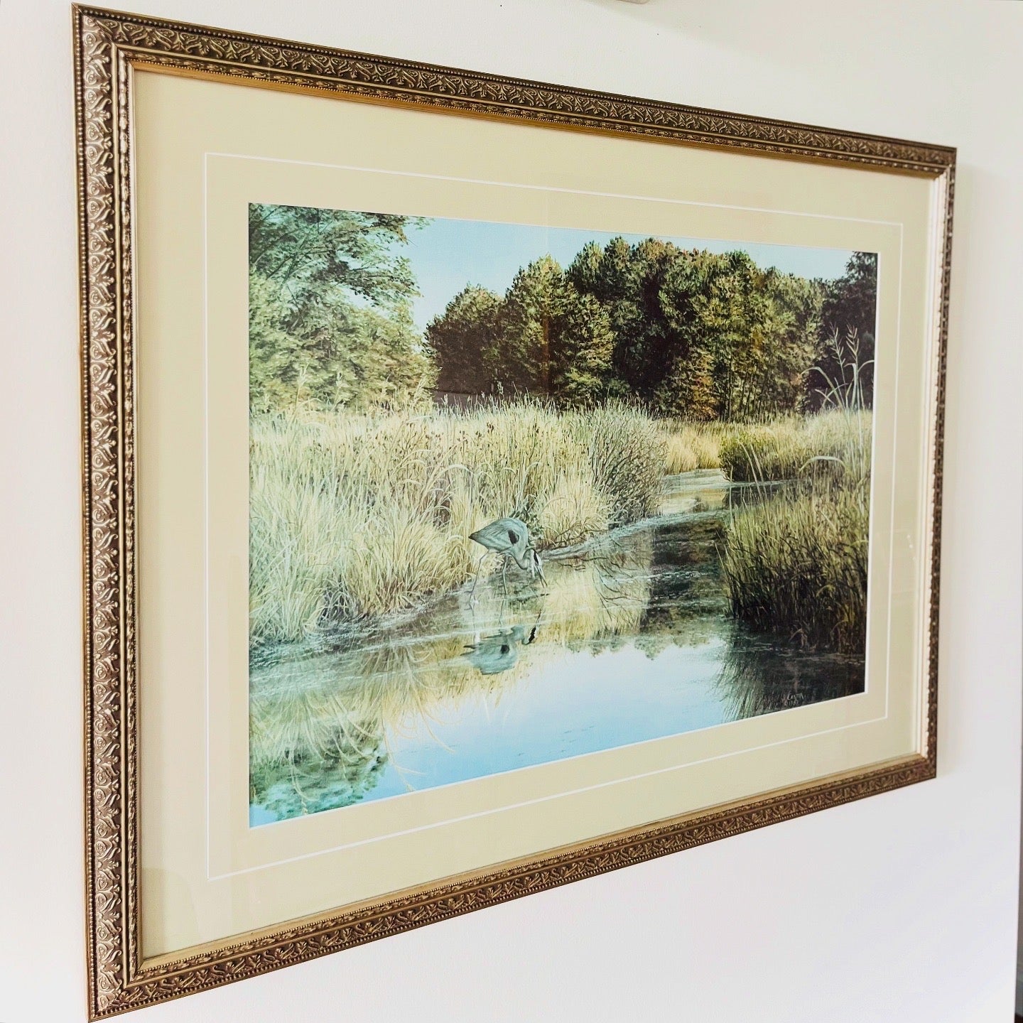 Great Blue Heron framed print