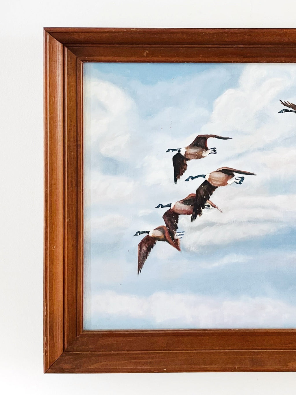 Canadian geese at flight art