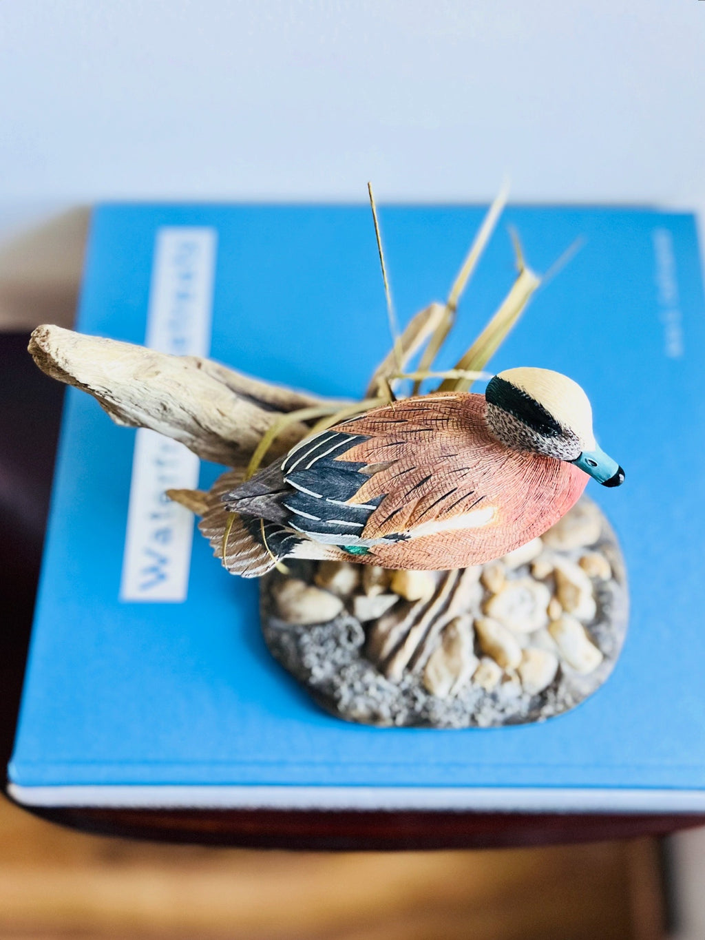 Widgeon duck by Larry Tawes Jr