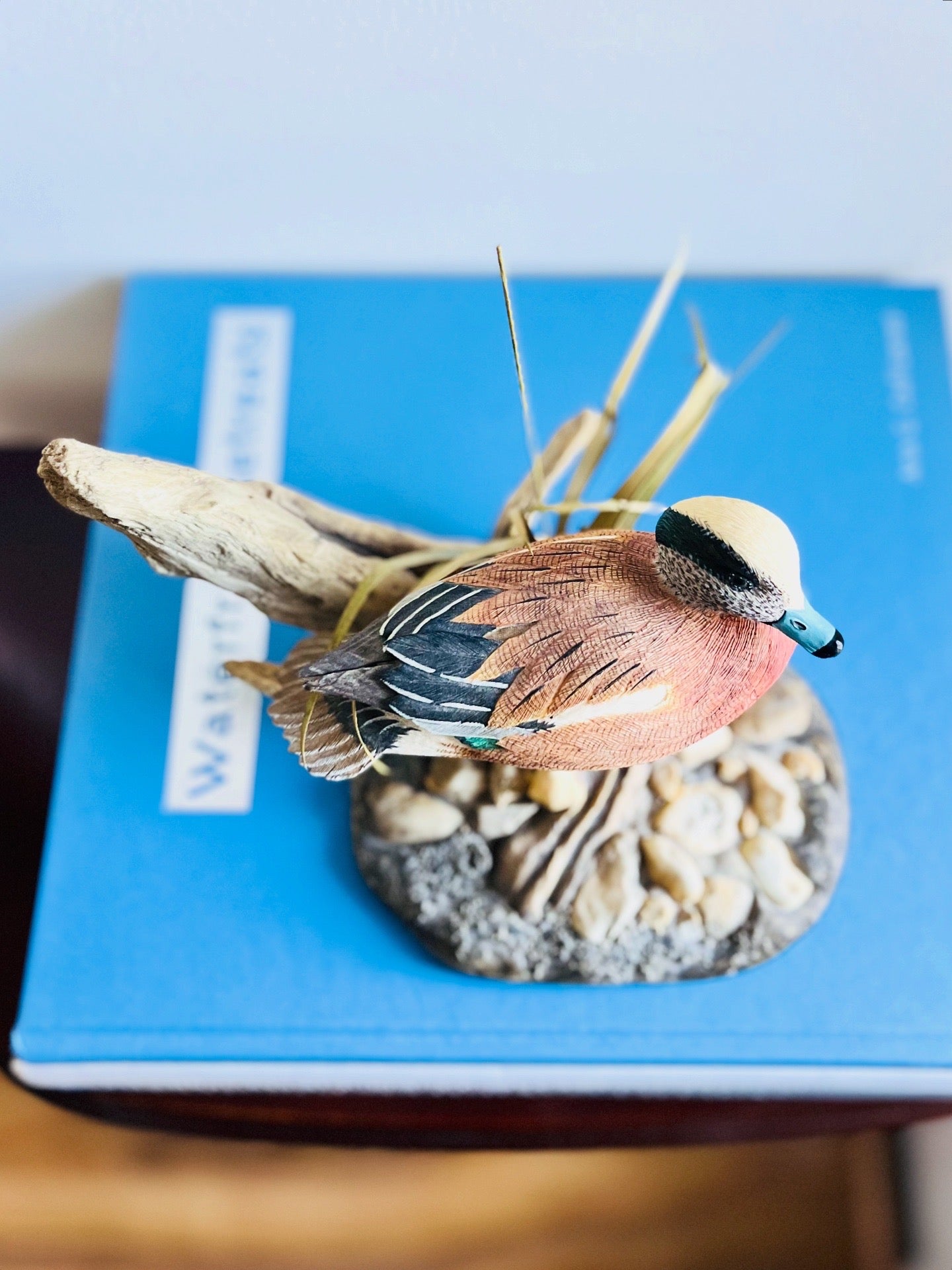 Widgeon duck by Larry Tawes Jr