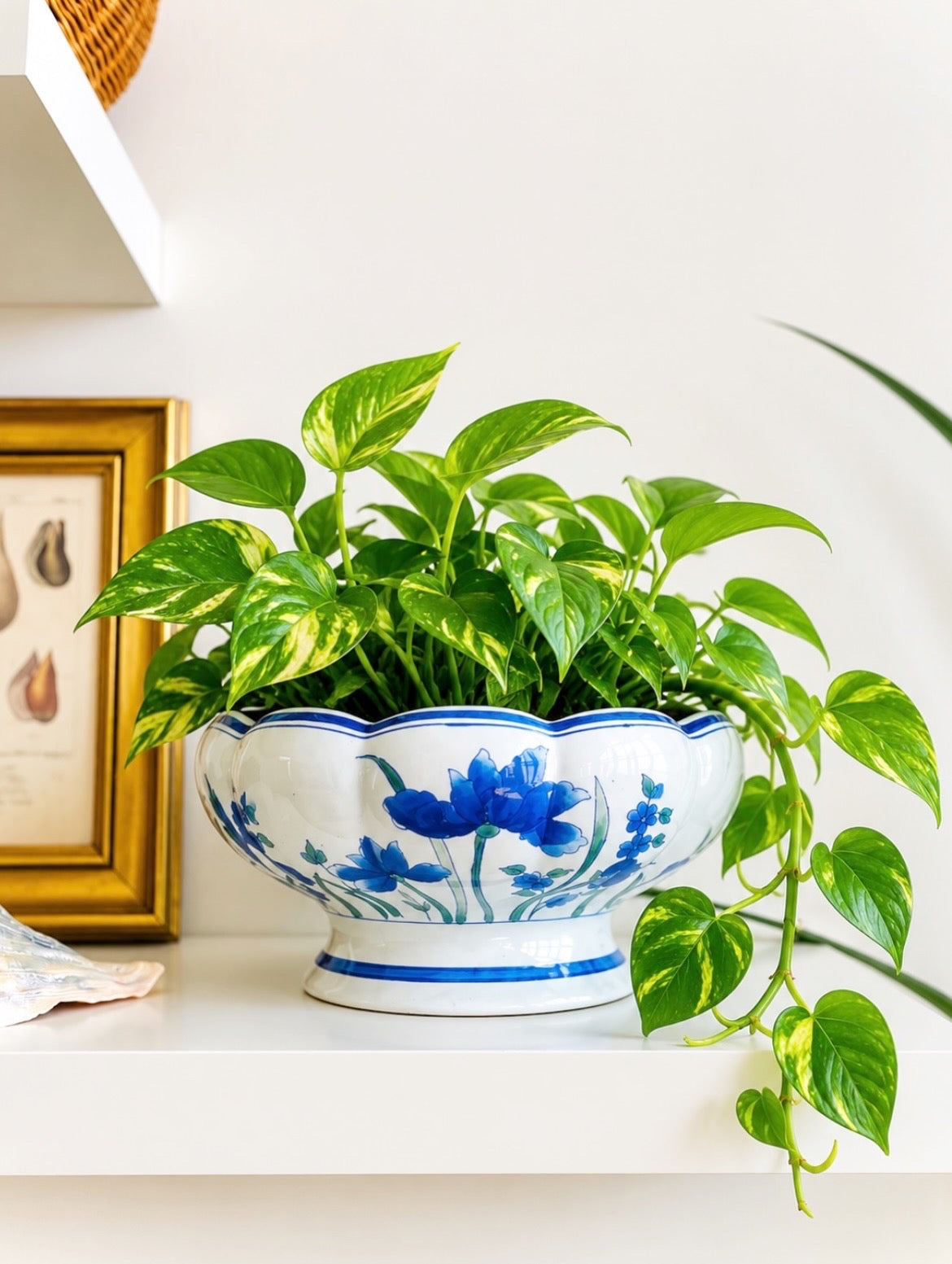 Floral chinoiserie pedestal planter