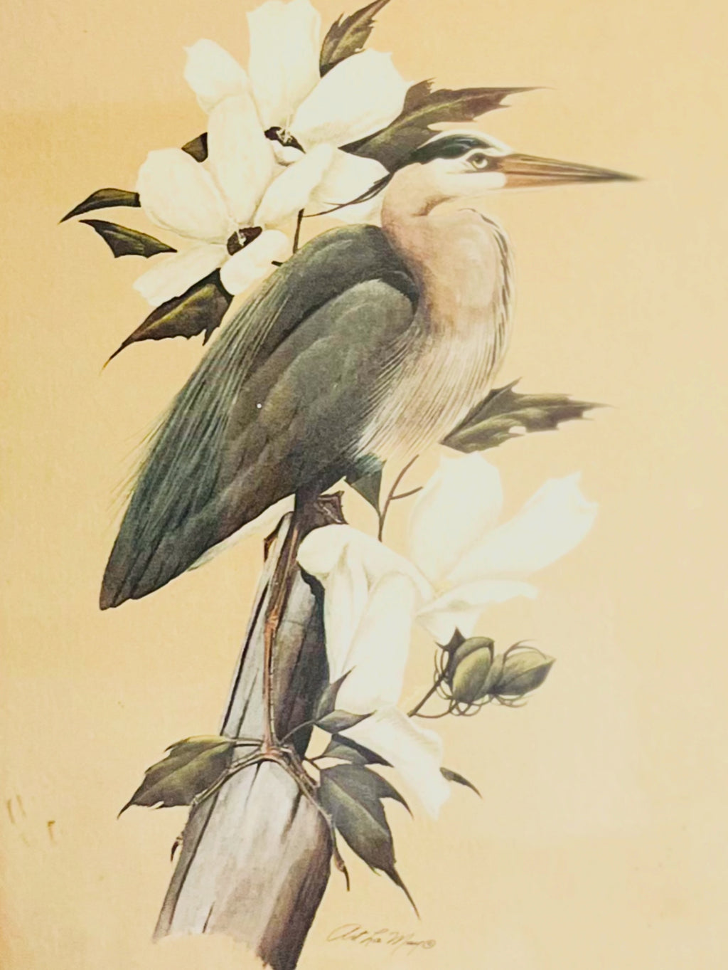 Blue Herron by Art Lamay